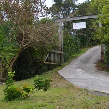 Pomarrosa - Coffee & Tea Near Me - Ponce, Puerto Rico Pomarrosa - Coffee & Tea Near Me - Ponce, Puerto Rico