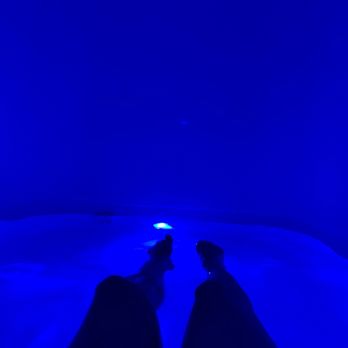 Capitol Floats - In the float tank - Float Spa Near Me - Auburn, California