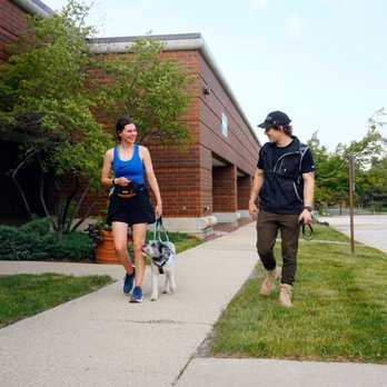 Prestige Dog Training - Our private training programs are best for owners who would like to be more involved in training - Pet Training Near Me - Chicago, Illinois