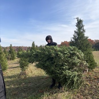 Bottoms Christmas Tree Farm - Nurseries & Gardening Near Me - Cumming, Georgia