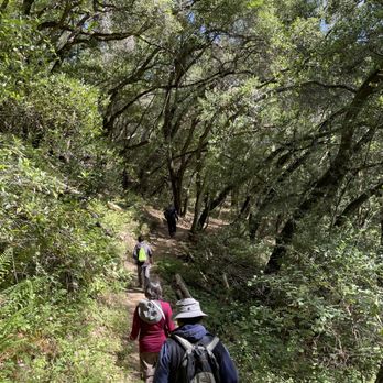 Cull Canyon Regional Recreation Area - Hiking trail - Parks Near Me - Castro Valley, California Cull Canyon Regional Recreation Area - Hiking trail - Parks Near Me - Castro Valley, California