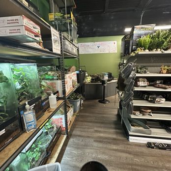 Cold Blooded & Bizarre - Reptile Shops Near Me - Charlotte, North Carolina Cold Blooded & Bizarre - Reptile Shops Near Me - Charlotte, North Carolina