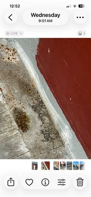 Inn on St Peter by null