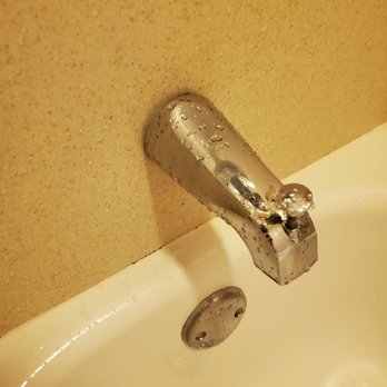 Embassy Suites by Hilton Hampton Convention Center - Mold - Hotels Near Me - Hampton, Virginia Embassy Suites by Hilton Hampton Convention Center - Mold - Hotels Near Me - Hampton, Virginia