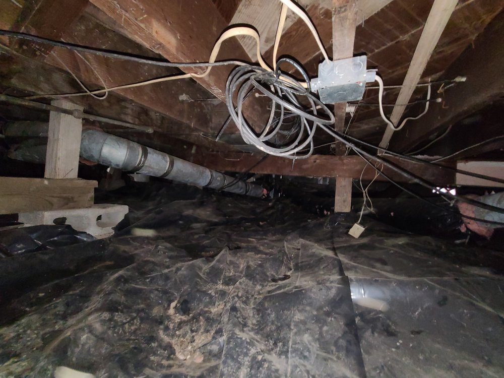 Pillar To Post - mold inspector in Salem, OR