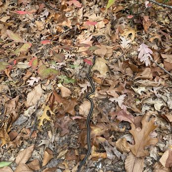 Snake Den State Park - Parks Near Me - Johnston, Rhode Island