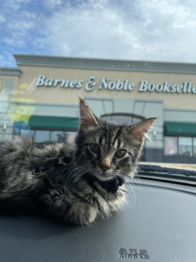 BARNES & NOBLE BOOKSELLERS Updated September 2024 1300 E Main St