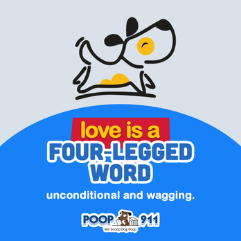 POOP 911 - Pet Waste Removal Near Me POOP 911 - Pet Waste Removal Near Me
