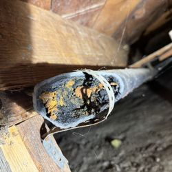 Pro Plumbing & Rooter
