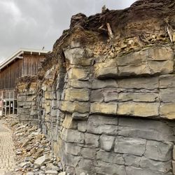 Baumkronenpfad - ... Impressionen ...