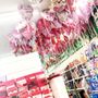 Photo of Dollar Tree