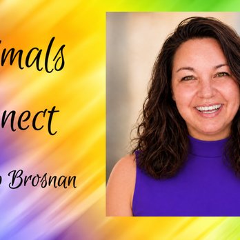 Deb Brosnan - Animal Communicator - Holistic Animal Care Near Me Deb Brosnan - Animal Communicator - Holistic Animal Care Near Me