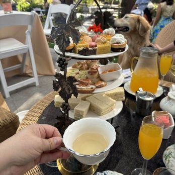 Elliston Vineyards - Tea party, and a picture of mango Bellini - Wineries Near Me - Sunol, California