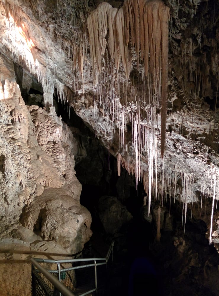 MOLE CREEK CAVES Updated April 2024 330 Mayberry Rd, Mole Creek Tasmania, Australia Parks
