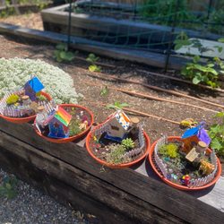 The Nurtured Seedling