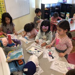 Mandarin Tree Academy