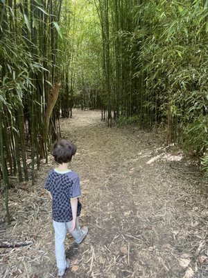 Fantastic Umbrella Factory by null