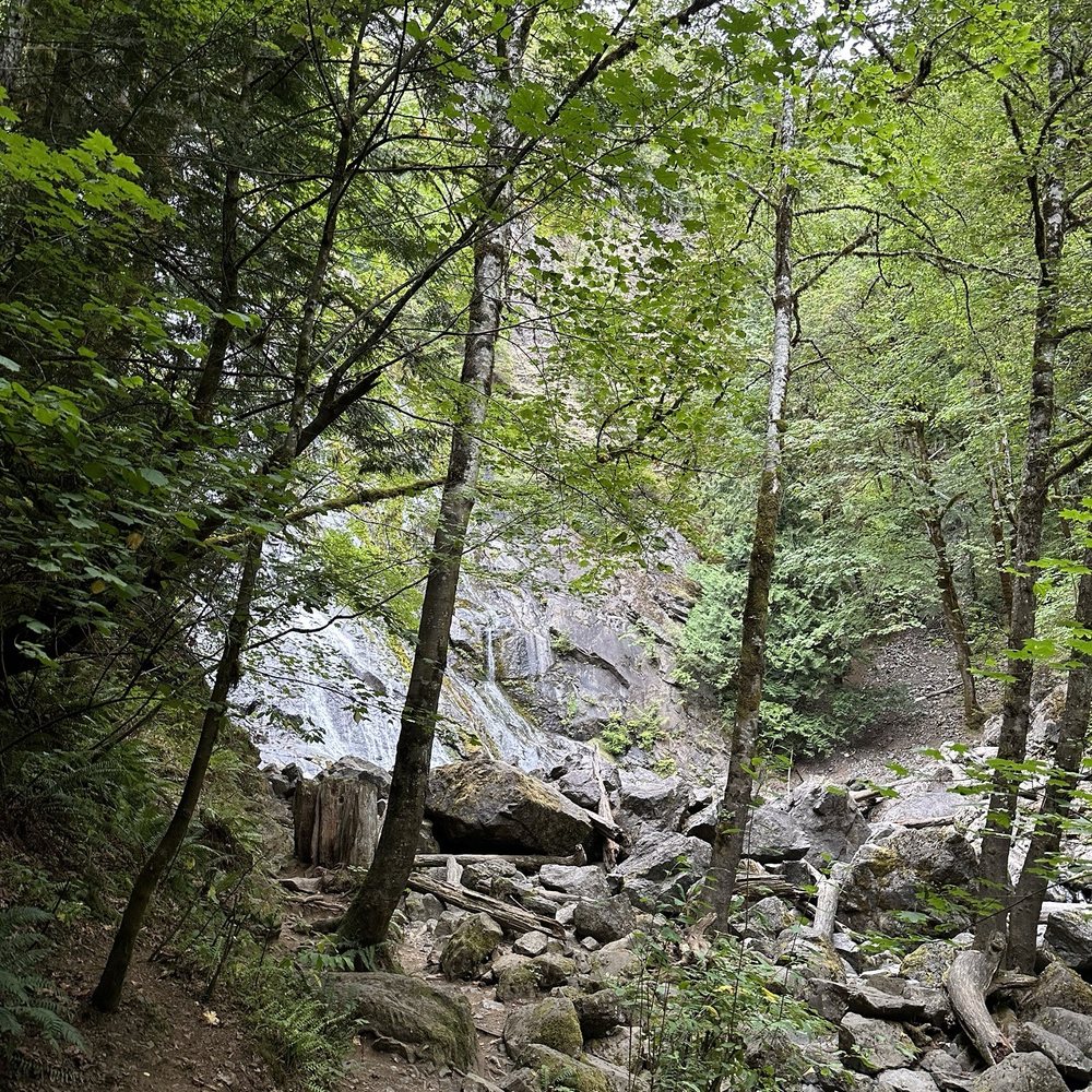 TOP 10 BEST Swimming near Quilcene, WA - Updated 2025 - Yelp