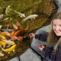 Cape Escape Orleans Mini Golf - koi fish!
