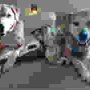 Photo of Four Paws Dog Resort