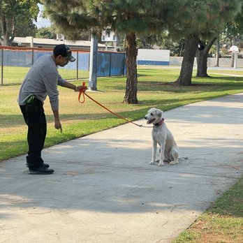Luis Dog trainer - Luis with Lola. - Pet Training Near Me - Azusa, California