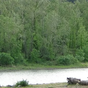 Clackamette Park - Parks Near Me - Oregon City, Oregon Clackamette Park - Parks Near Me - Oregon City, Oregon