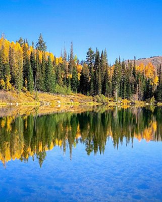 Big Cottonwood Canyon by null