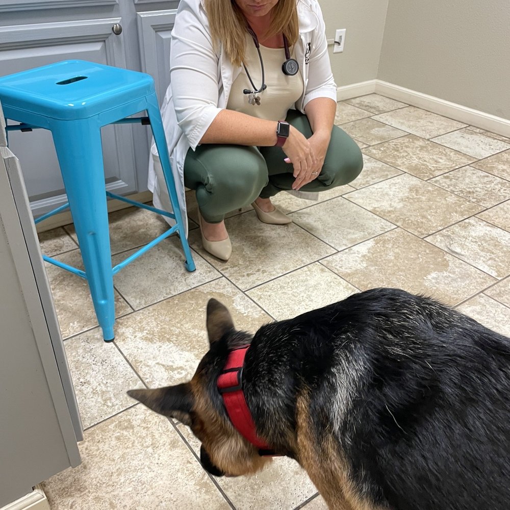 Getting spoiled with a treat Getting spoiled with a treat