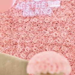 Aesthetic Island - Botox treatments
Microneedling Prp
Fillers
laser Hair removal
Hydra Facial