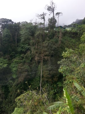 Genting SkyWay by null