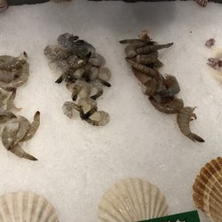The Salmon Shop