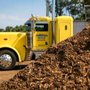 Photo of Timberland Mulch