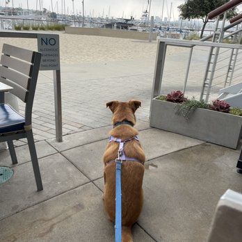 Lighthouse - Our puppy Bella loves to visit. - Breakfast & Brunch Near Me - Newport Beach, California