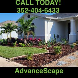 AdvanceScape