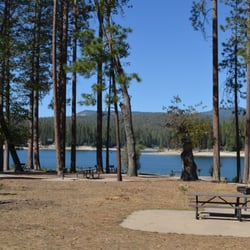 Bass Lake Realty - Picnic areas are in several locations