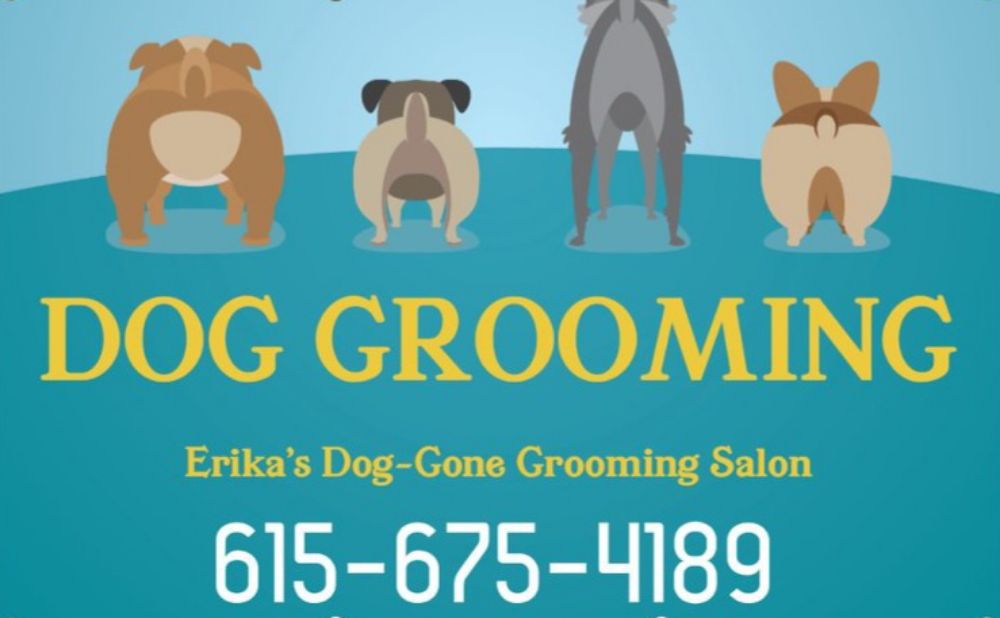 ERIKA’S DOGGONE GROOMING SALON 895 South Water Ave, Gallatin