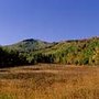 Photo of Colony White Pine Canyon