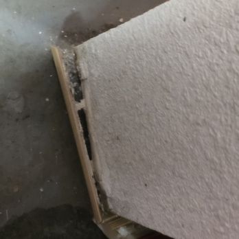 Terminix - Additional holes not sealed in garage, - Pest Control Near Me - Westminster, Colorado Terminix - Additional holes not sealed in garage, - Pest Control Near Me - Westminster, Colorado