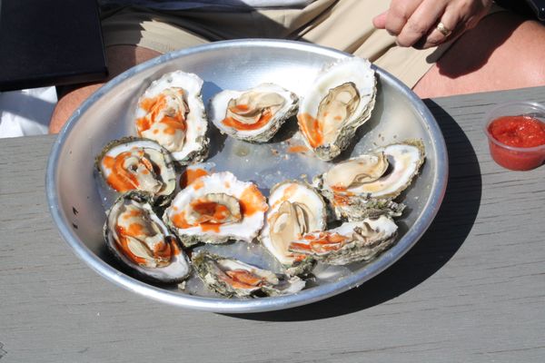 Message in a Bottle by null