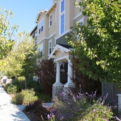 Distinct Property Management