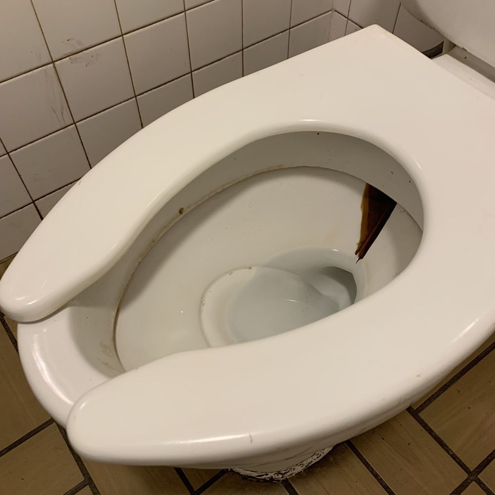 Urine Hat For Toilet Walgreens informacionpublica.svet.gob.gt