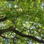 Photo of Macclesfield Forest