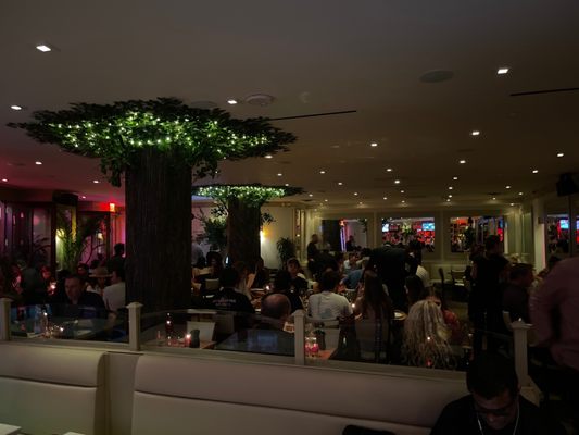 Bice Cucina Soho by null
