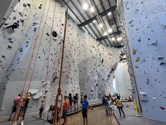 Mesa Rim MESA RIM CLIMBING CENTER - NORTH CITY - Updated June 2026 - 71 Photos ...