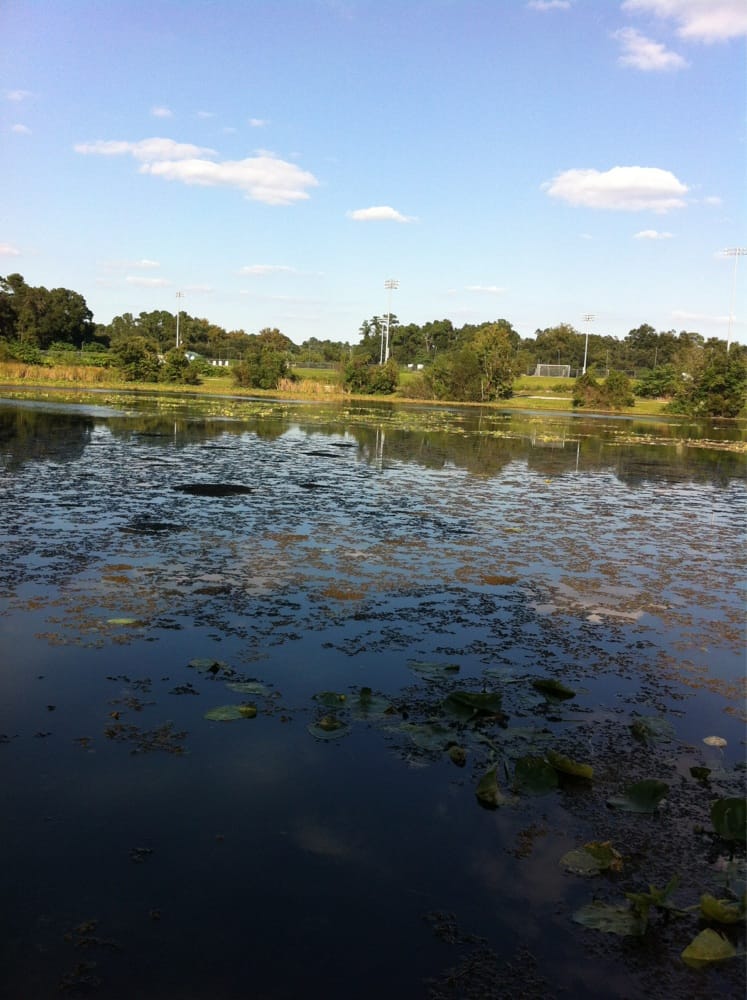 Earl Johnson Park Image