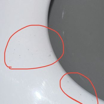 Cambria Hotel Templeton - Filthy, unsanitized toilet at check-in. Gross hygiene standards and zero accountability. - Hotels Near Me - Templeton, California