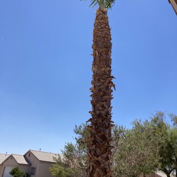 All Stars - After - Lawn Services Near Me - Las Vegas, Nevada