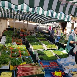 Wochenmarkt Domplatz - Grün in vielen Facetten