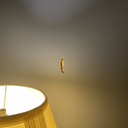 Days Inn by Wyndham Ridgefield - Hole in wall