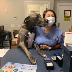 Animal Care of Greenville
